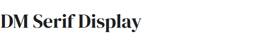 Google font DM Serif Display