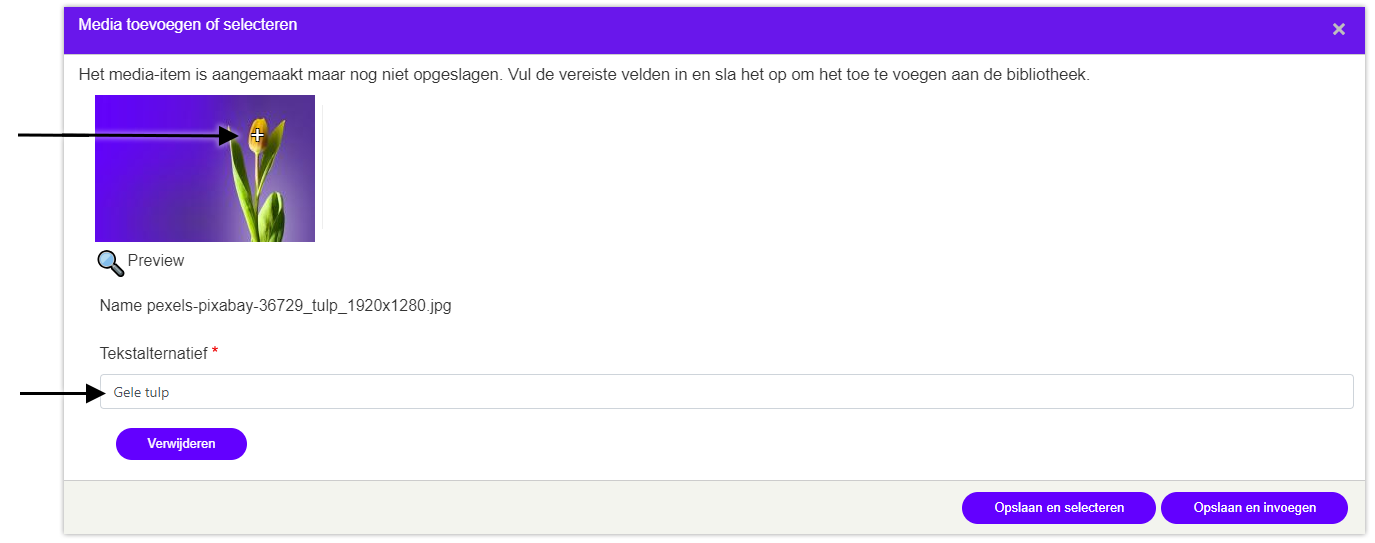 Voorbeeld instellen focuspunt in media manager