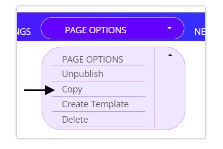 Page options - copy page