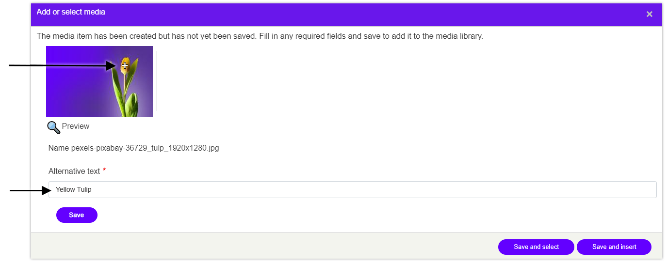 Media manager set alt-text and focal point